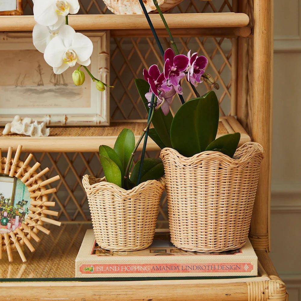 A1ea6d8bfbef9496b8f6aa0ceb286f4d2F